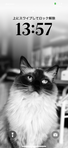IMG_8733.png