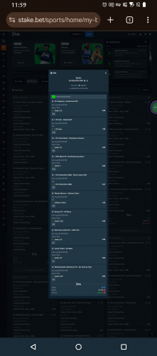 Screenshot_20250809-235949470.jpg