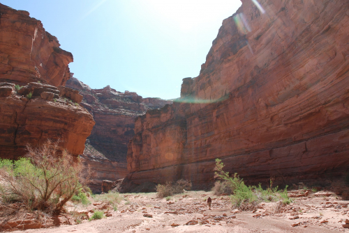 panoramio-90752320.jpg