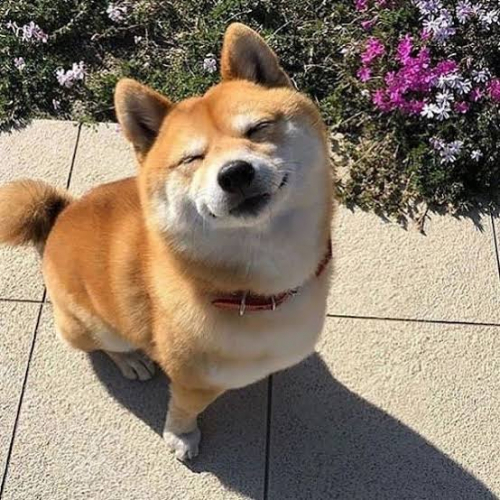 17583699636838542587550715099486.thumb.jpg.9e42b999490b65a5db7fa67f30cf42f9.jpg
