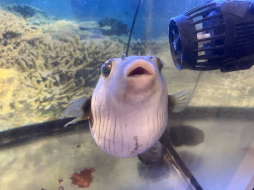 IMG_5989.jpeg