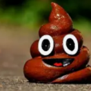 OsurukBombasii
