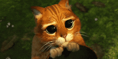 17607893832457837468486648898841.gif.cbf2f2a98ce064600743ed90660d0939.gif