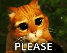 17613956597985268961721252416540.gif.0c83750745b3a5b01daaa41097628725.gif