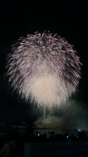 20251025_193837.thumb.jpg.51562047c36a39160a911f36357a8aac.jpg