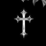 phoenix336