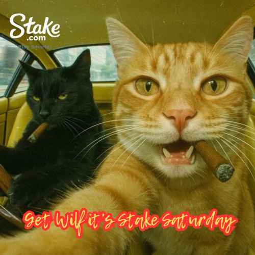CatAtStakegoeswild.thumb.jpg.27ba99b000d7be1a999f7f225843d565.jpg