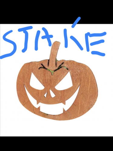 IMG_7126.jpeg