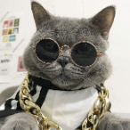 catbot