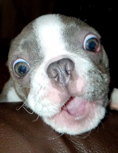 image.thumb.png.e0c6a31707809291563aa1e6f28cc2aa.png