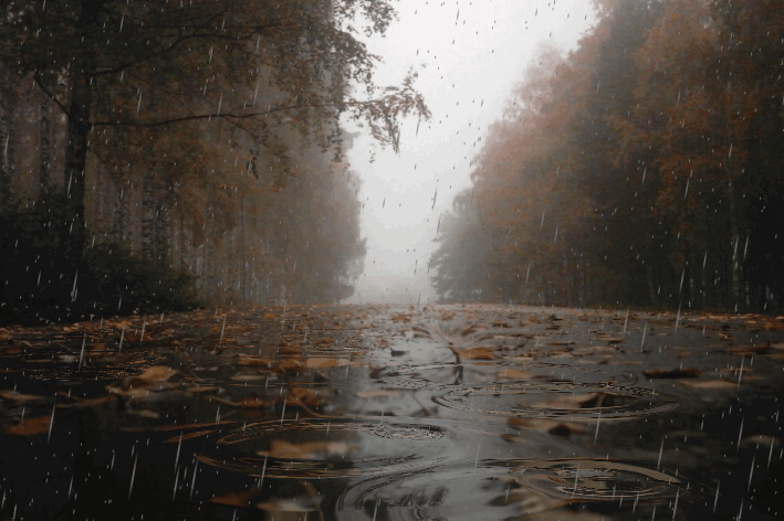 orig-1.gif.1ce8310475c5f02a13fcc2ae3e3c6dbd.gif