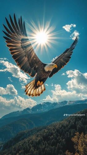 temp_image_9110DB00-1F3F-4A2F-AE26-BF0EDAA885D5.webp