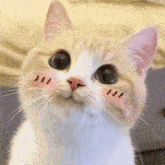 17626040245566893100647126429804.gif.0b860fd5adedf6fe0ca604827835f862.gif