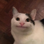 Lairyjeff