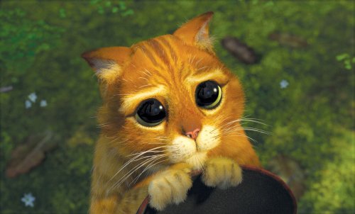 Cute_Eyes.thumb.jpg.58de2c7141e9d08d2cf6dfca519f4f01.jpg