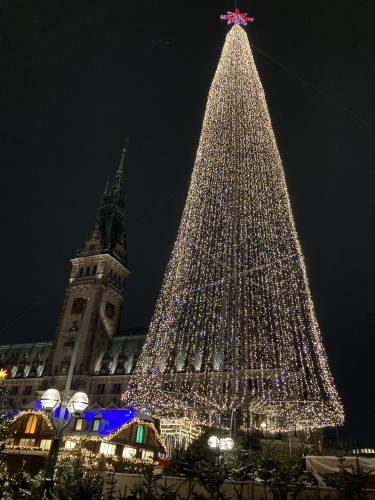 IMG_3717.jpeg