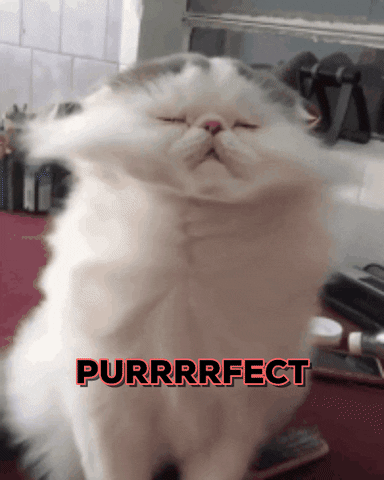 giphy.gif.1981f31e79b64cc4fc0bdeb475e25540.gif