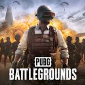 pubgsections