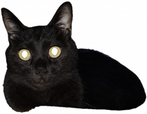 20250927_171124.png