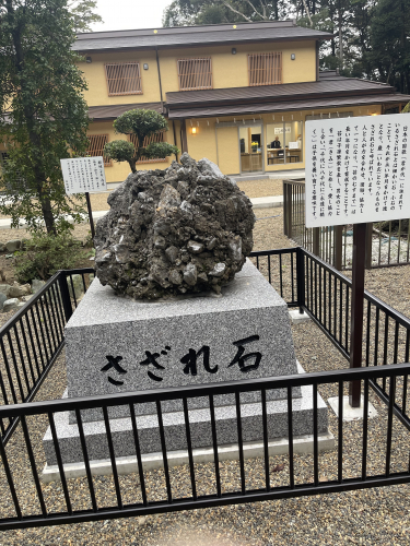 IMG_7622.jpeg
