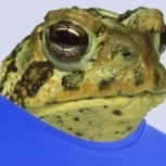 Katzzi