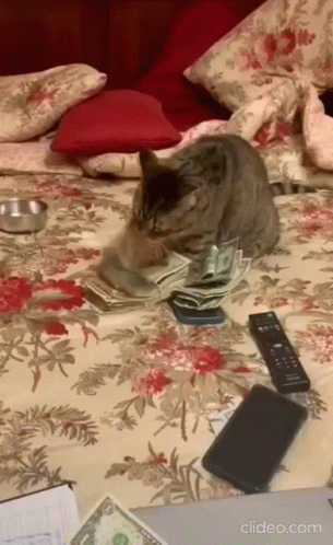 MoneyCatGIF(2).gif.306d0362c6f01ce82926847fd4aad236.gif