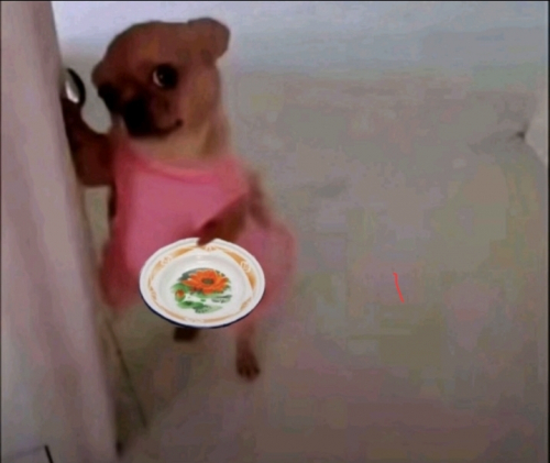 Screenshot_20260101_165736_TikTok.jpg