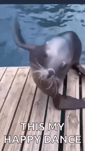 image.gif.f0f7532bf4c4096ec471682721cc3044.gif