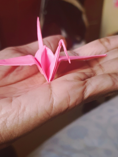 20190818_172353.jpg