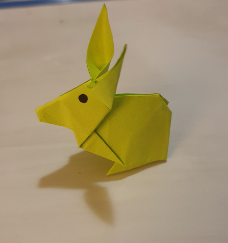 20190910_204152.jpg