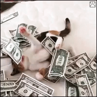 FridayPayDayGIF.gif.2338e511df8b44e3d677598a240e6ef5.gif