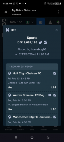 Screenshot_20260213-112315.png