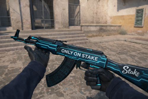 Stake_skin.png