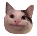 Tuss_belugacat.png.fcd1eb56c787d572f3639b85e623718a.png