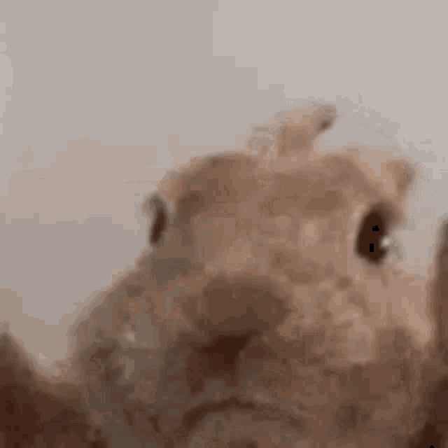 wide.thumb.gif.c07f00331b6e335731d812397dc37e1b.gif