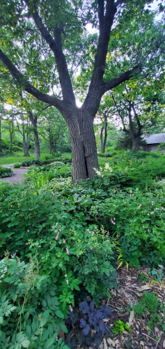 20190707_193836.thumb.jpg.947477d8ffd2498d4343246d32551558.jpg