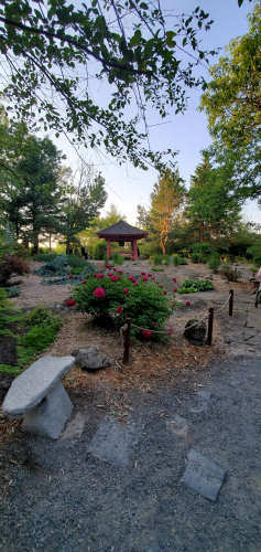 20190707_194153.thumb.jpg.a7a1a1246ee770b99649fe1bf8035687.jpg