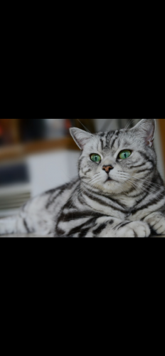 IMG_0184.png