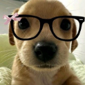 MaxW1