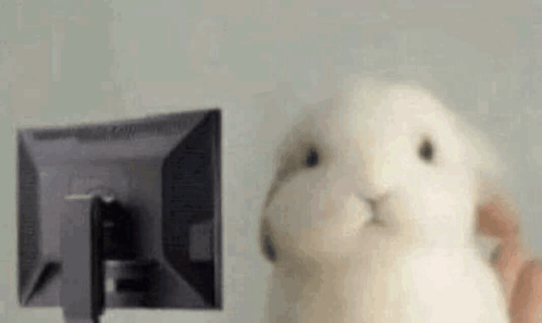 image.png.51ecede009b811594fb0c643ccf87d22.png