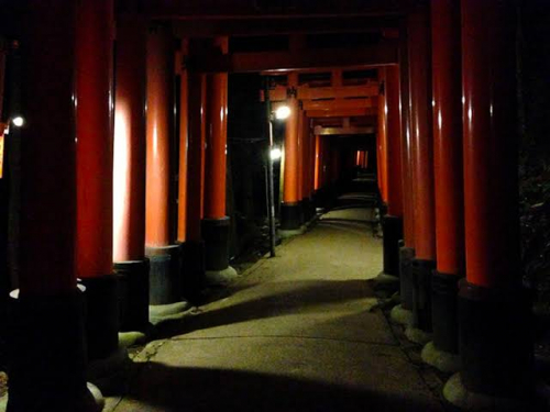 images (19).jpeg