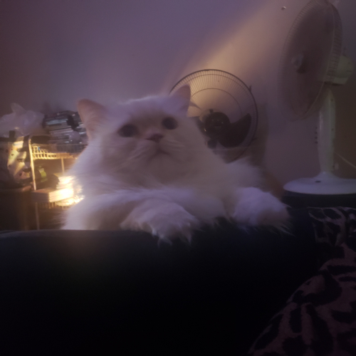 20260404_000119.jpg
