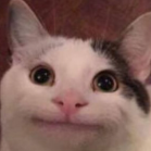PuFF