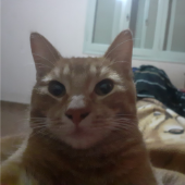 AbuWalter