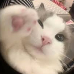 kizi01