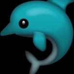 Drolphin