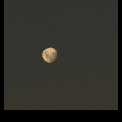 Justy018