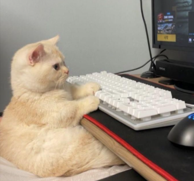 cute-fat-cat-computer-meme-Google-Search-06-06-2026_09_51_AM.png.70efcacc94a195f0a54604863232bc5f.png
