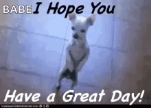 have-a-great-day-cute.gif.018c7f21a9c68d7e245996456d43e231.gif