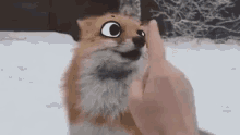 human-touching-cute-fox-with-cartoon-eyes-sv5y0nhc1tc07j3b.gif.3e3de7f0ffc47ed7d0b8d9d2e1c4c38c.gif